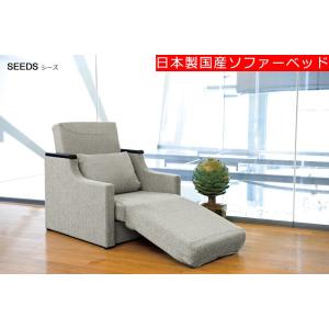 [送料無料]　日本製国産ソファーベッド　シーズ 　SEEDS（前面スライド式）