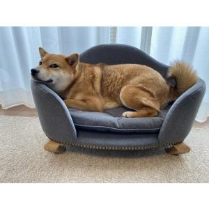 ペット（犬、猫）用ソファ「ロワン」｜jsofa