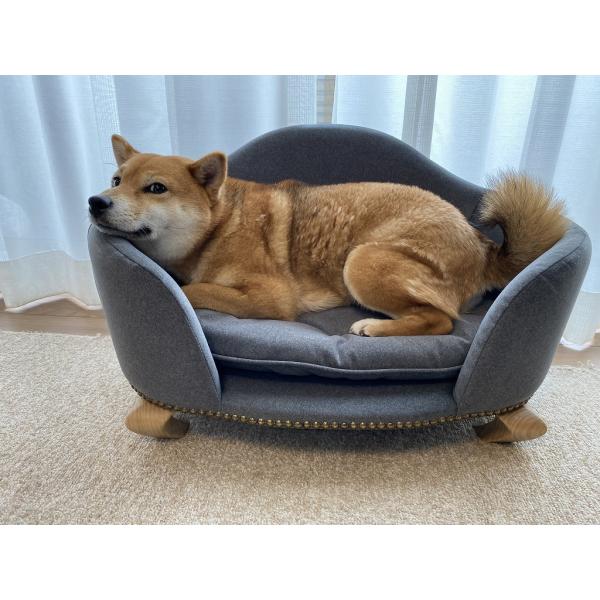 ペット（犬、猫）用ソファ「ロワン」