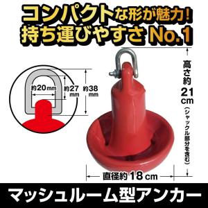 マッシュルームアンカー 5kg フロート付ロー...の詳細画像2