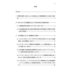 【ダウンロード版】「福祉的就労」をめぐる国内外...の詳細画像1