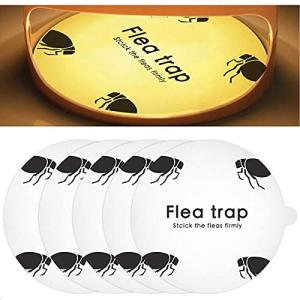 ノミ取り ネバネバドーム 粘着シートのみ 5枚入 ノミトラップ