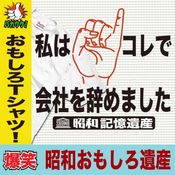 おもしろtシャツ メンズ 漢字 ことわざ 半袖tシャツ 名入れ 大きいサイズ