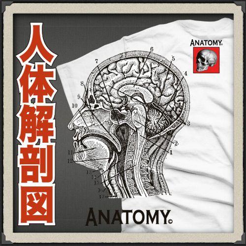 おもしろtシャツ 人体解剖  tシャツ 男性 メンズ 女性 半袖tシャツ 大きいサイズ 名入れ おも...