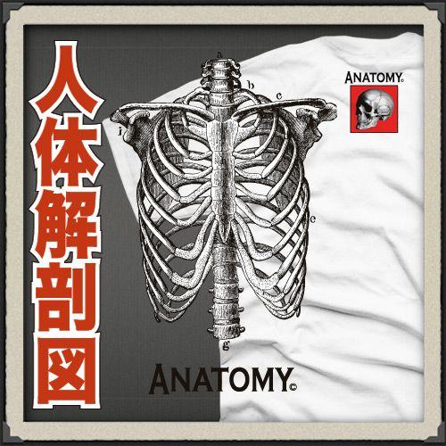 おもしろtシャツ 人体解剖  tシャツ 男性 メンズ 女性 半袖tシャツ 大きいサイズ 名入れ おも...