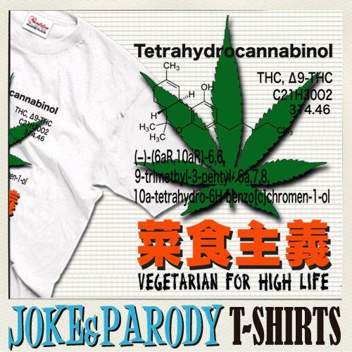 おもしろtシャツ メンズ 漢字 ことわざ 半袖tシャツ 名入れ 大きいサイズ