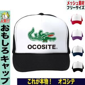 EVISU エヴィス キャップ CAP デニム カモメ ポケット 限定生産