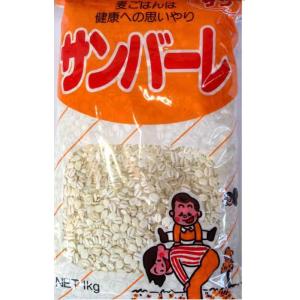 石橋工業 サンバーレ 1kg ×12個