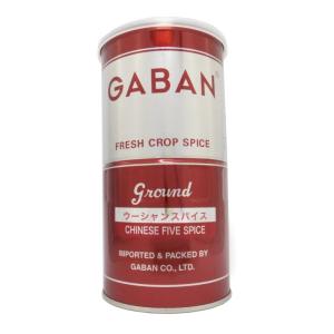 GABAN ウーシャンスパイスパウダー 300g