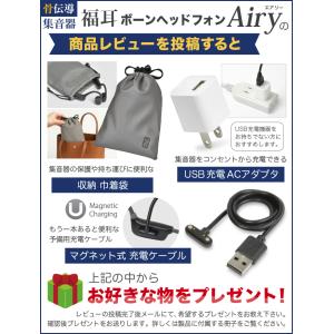 (国内正規品)骨伝導 集音器(USB充電器付)...の詳細画像2