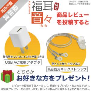 集音器 耳掛け式(国内正規品)両耳用 USB充...の詳細画像1