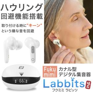 集音器 USB充電 カナル型 デジタル集音器 ...の詳細画像2