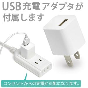 集音器 USB充電 カナル型 デジタル集音器 ...の詳細画像3