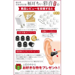 集音器 超小 耳穴型 福耳 ちい彩音(ちいさい...の詳細画像1