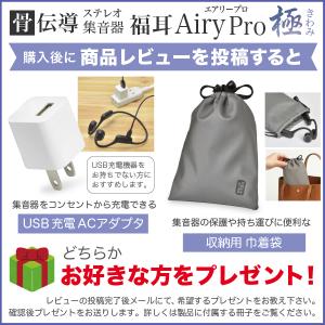 (USB充電アダプタ付)骨伝導 ステレオ 集音...の詳細画像1