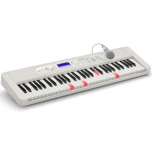 [展示品] CASIO Casiotone LK-520 光ナビゲーションキーボード｜jtus2014