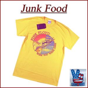 ビンテージ90's○PINK FLOYD EUROPEAN TOUR 1994 Tシャツ白○240827k7