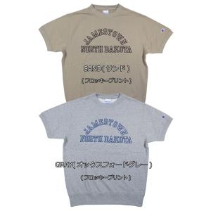 Champion チャンピオン BASIC ア...の詳細画像1