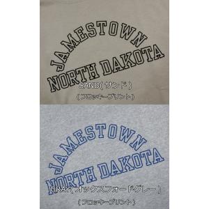 Champion チャンピオン BASIC ア...の詳細画像2