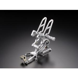 スズキ GSX1300R ハヤブサ 隼 2008-2020 LCIPARTS GPチタンスリップ