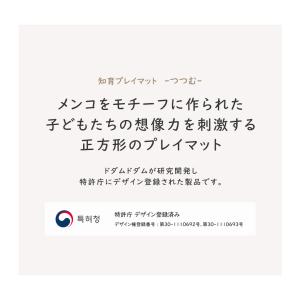 【最終値下げ!在庫限り】 知育 抗菌 プレイマ...の詳細画像2