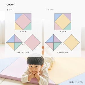 【最終値下げ!在庫限り】 知育 抗菌 プレイマ...の詳細画像4