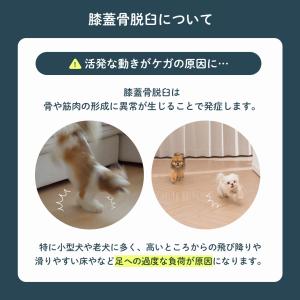 ペットマット 防水 犬用カーペット 140 1...の詳細画像5
