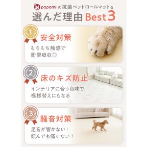 ペットマット ペット マット ペットロールマッ...の詳細画像3
