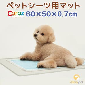 ペットシーツ 滑り止めマット Caraz ペットシーツマット ラグ シーツ レギュラー ワイド ペットシート ペット用 犬 猫
