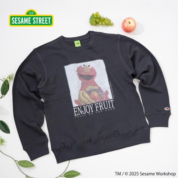 【FRUIT OF THE LOOM】SESAMESTREET×FTL ロングスリーブ甘編 フォト ...
