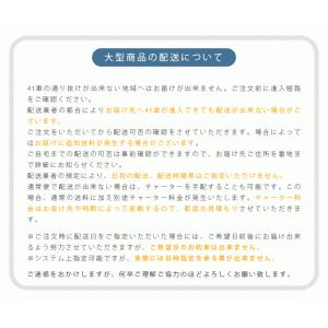 イギリス製 ダブルドア 屋外物置「メタルシェッ...の詳細画像5