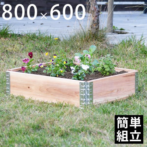 木製プランター 砂場 花壇  「a+ design ガーデンボックス800×600 ナチュラル」