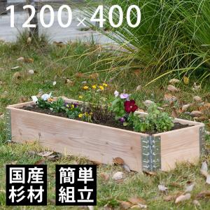 木製プランター ガーデニング 花壇  「a+ design ガーデンボックス1200×400 ナチュラル」｜juicygarden