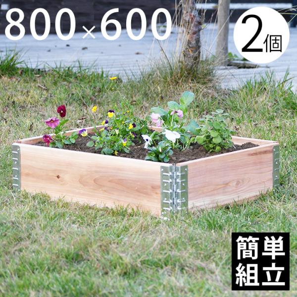 木製プランター 砂場 花壇  「upyard ガーデンボックス Eco 800×600 2個セット ...