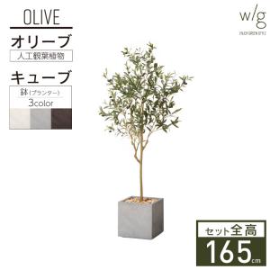 フェイクグリーン リアル 大型 特大 高さ180cm「オリーブS×Tall Square 
