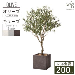 フェイクグリーン 大型 リアル 2m 特大「オリーブＬ×Cube w/g」高さ200cm 人工観葉植物 インテリアグリーン おしゃれ 鉢セット オフィス
