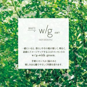 フェイクグリーン 大型 リアル 2m 特大「オ...の詳細画像2