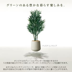フェイクグリーン 大型 リアル 2m 特大「オ...の詳細画像3