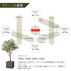 フェイクグリーン 大型 リアル 2m 特大「オ...の詳細画像4