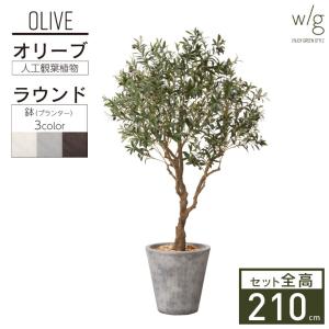 フェイクグリーン 大型 リアル 2m〜「オリーブＬ×Round w/g」高さ210cm 人工観葉植物 鉢セット インテリアグリーン おしゃれ リアル 室内 オフィス