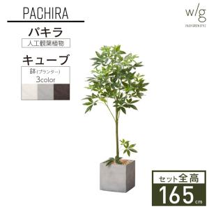 光触媒　人工観葉植物　ウォールグリーン　フェイクグリーン　エバーフレッシュ鉢 エバーフレッシュ フェイクグリーン 高さ180cm 観葉植物 フェイク 大型