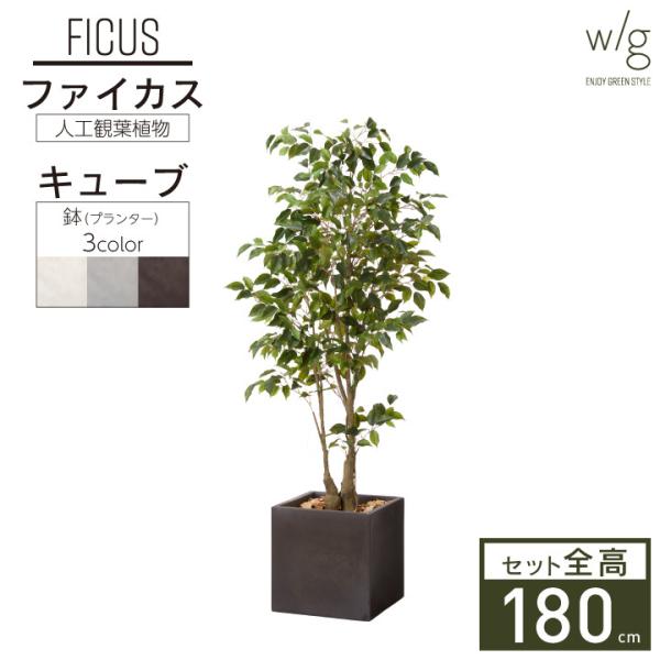 フェイクグリーン鉢セット 大型「ファイカス×Cube w/g」高さ180cm フィカス ベンジャミン...