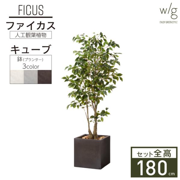 フェイクグリーン鉢セット 大型「ファイカス×Cube w/g」高さ180cm フィカス ベンジャミン...