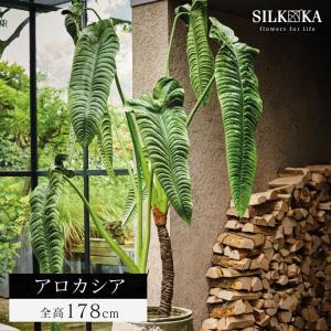 大型 フェイクグリーン 「アロカシア 178cm シルカ （Silk-ka）」 おしゃれ リアル 人工観葉植物 草花 インテリア グリーン クワズイモの商品画像