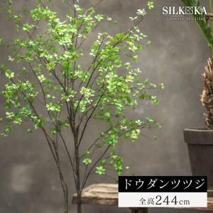 マジカルウォーター フェイクグリーン 光触媒 おしゃれ 人気 お手入れ