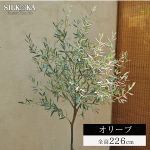 フェイクグリーン 大型「オリーブ 226cm シ...の商品画像