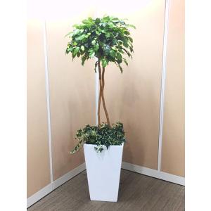マイナスイオン 観葉植物造花の商品一覧 通販 Yahoo ショッピング