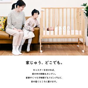 旧モデル yamatoya認定店 そいねーる ...の詳細画像5
