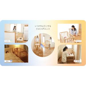 新色発売 yamatoya認定店 大和屋 リビ...の詳細画像3