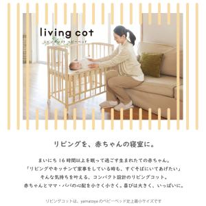 新色発売 yamatoya認定店 大和屋 リビ...の詳細画像4